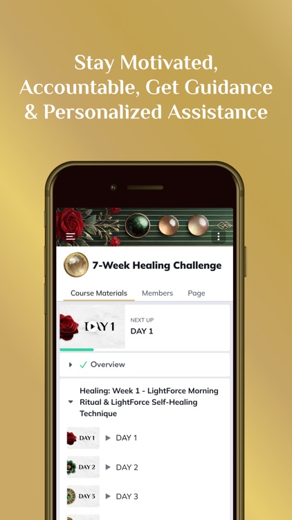 LightForce Healing™