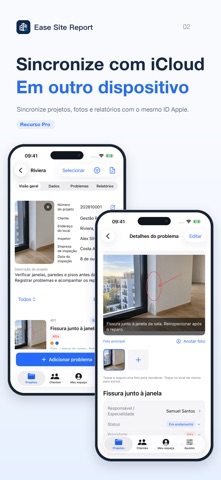 Ease Site Report screenshot 2