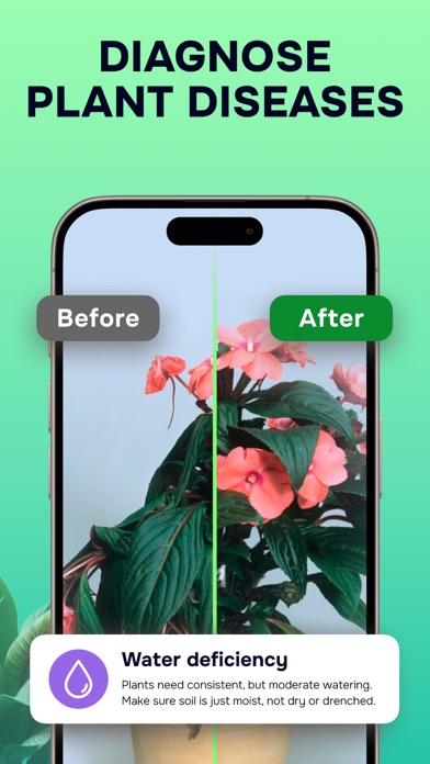 Plant Identifier: Nature ID AI Screenshot