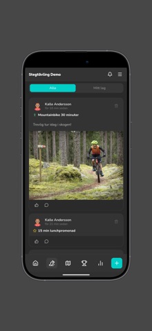 Wellstep activity challenge Screenshot 5 of 6