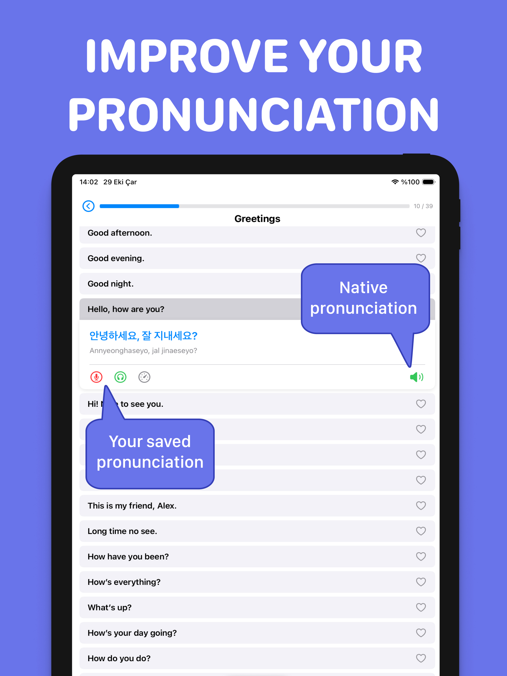 Korean Learning: Phrasebook screenshot 9