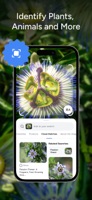 Lens AI & Reverse Image Search new screenshot 2