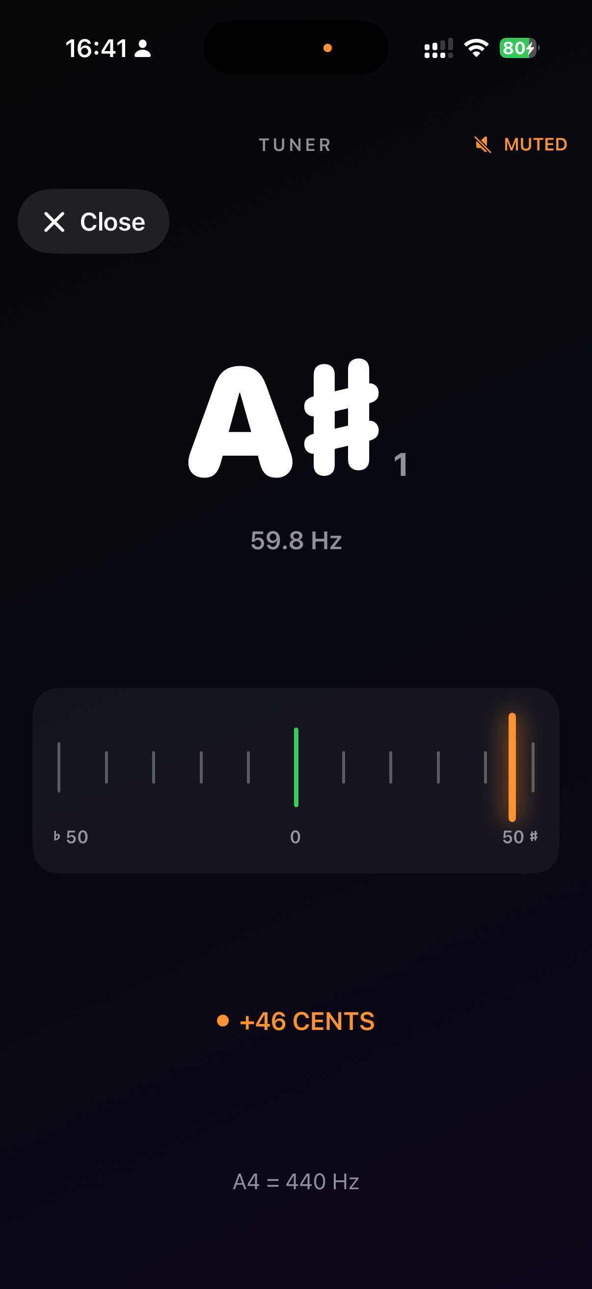 ToneRig: NAM Amp & Pedalboard screenshot 5