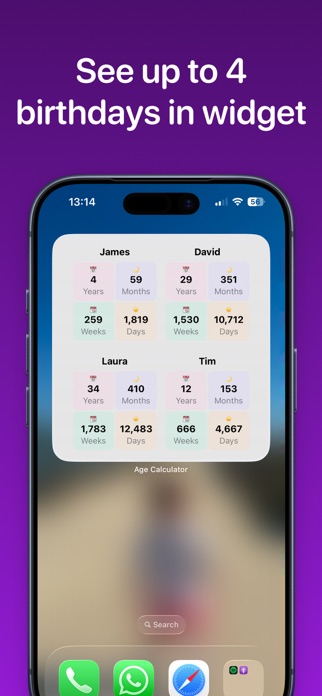 Age calculator widget Screenshot 3 of 3