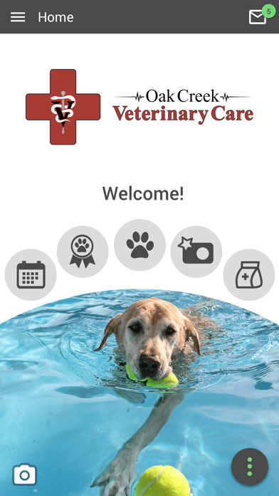 Oak Creek Veterinary Care Screenshot