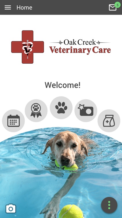 Oak Creek Veterinary Care