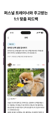 굿잡버디 - 비대면 반려견 교육 screenshot