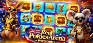 Outback Combo Arena screenshot