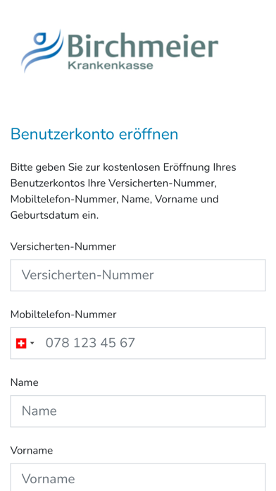 KK Birchmeier Screenshot