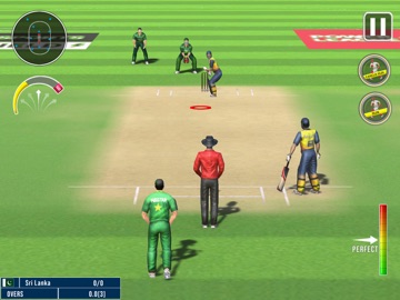 World Champion 3D Cricket Game iPad screenshot