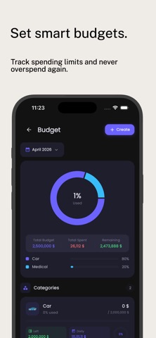 Neon Budget Manager screenshot