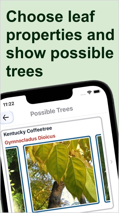Forest Tree Identification
