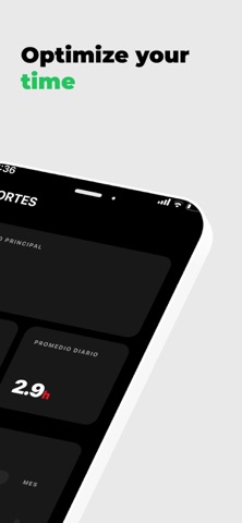 Disty: Project Time Tracker screenshot