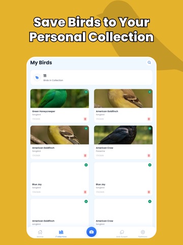 Bird Identifier - Birdify iPad screenshot
