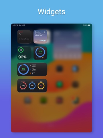 OhSnap Calorie Tracker iPad screenshot