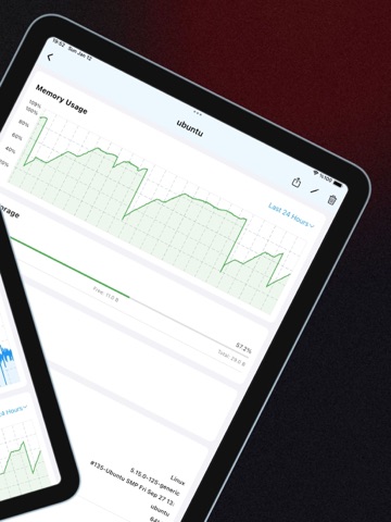 Serverhub.dev ipad screenshot 4