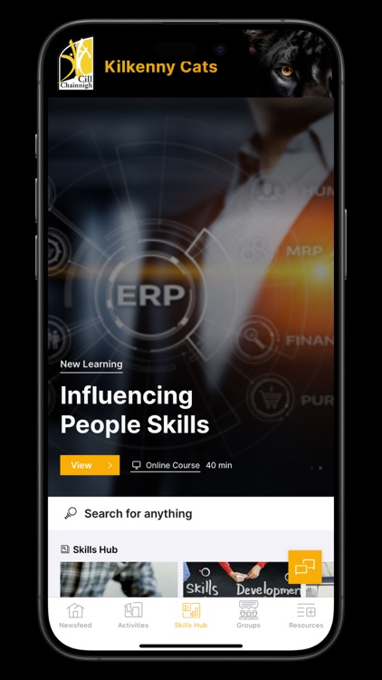 Kilkenny Cats Social screenshot-3