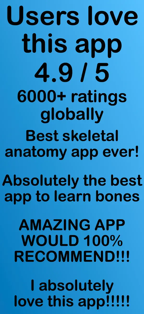 Screenshot #2 pour Bones of the body