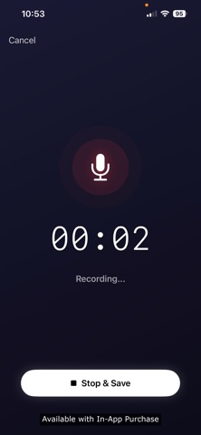 VoiceNotes - AI screenshot