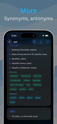 PL Dictionary iPhone screenshot