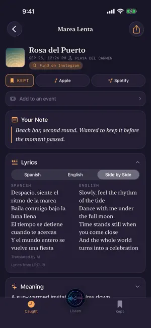 SongCatcher screenshot 4