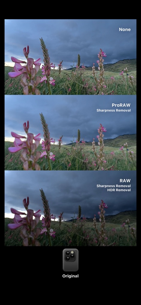 Dazz Cam - Vintage Camera - Advanced Image Processing