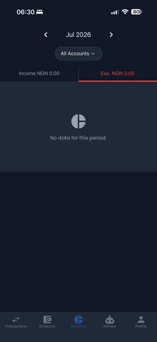 Havocweb AI Finance Ledger screenshot
