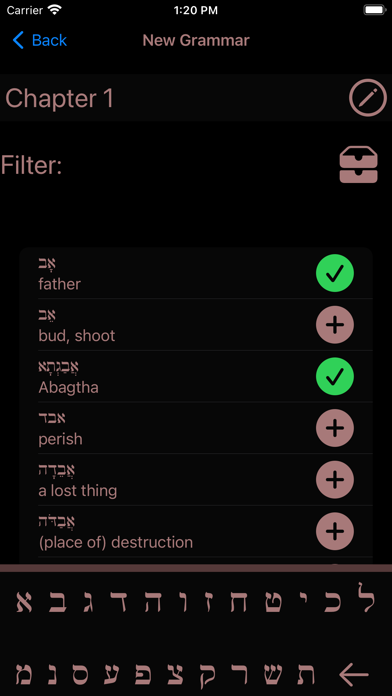 Hebrew Vocab Screenshot