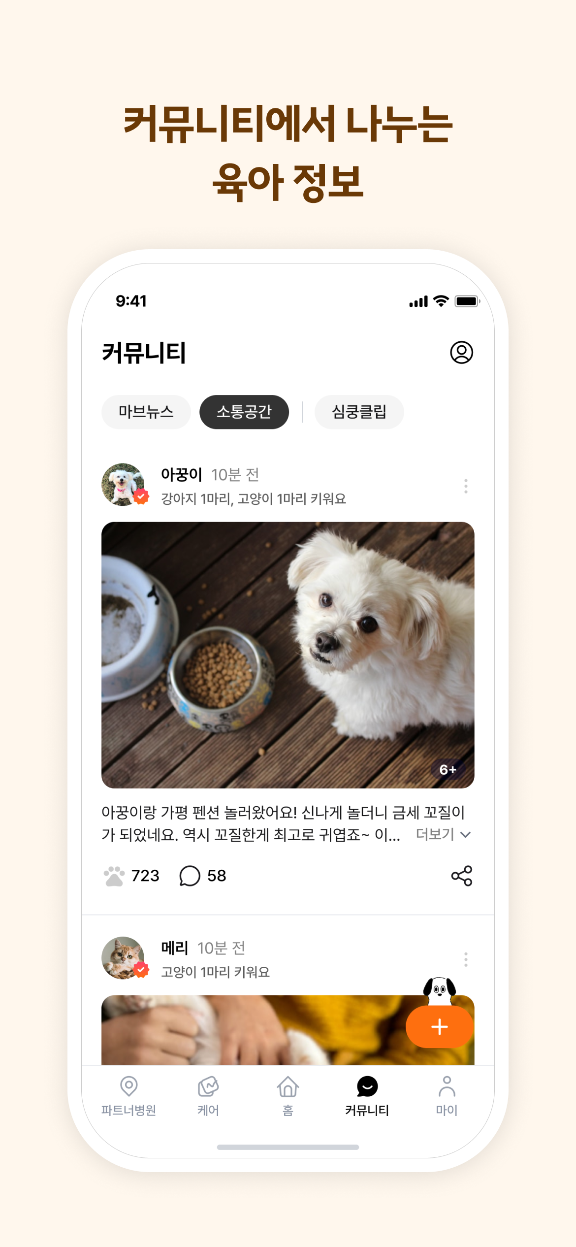 마이브라운