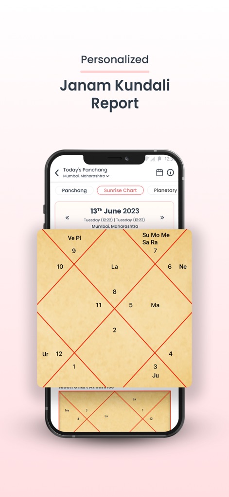 Anytime Astro Live Chat & Talk - View the precise "Janam Kundali" report, illustrating planetary positions within different houses for a comprehensive astrological analysis.