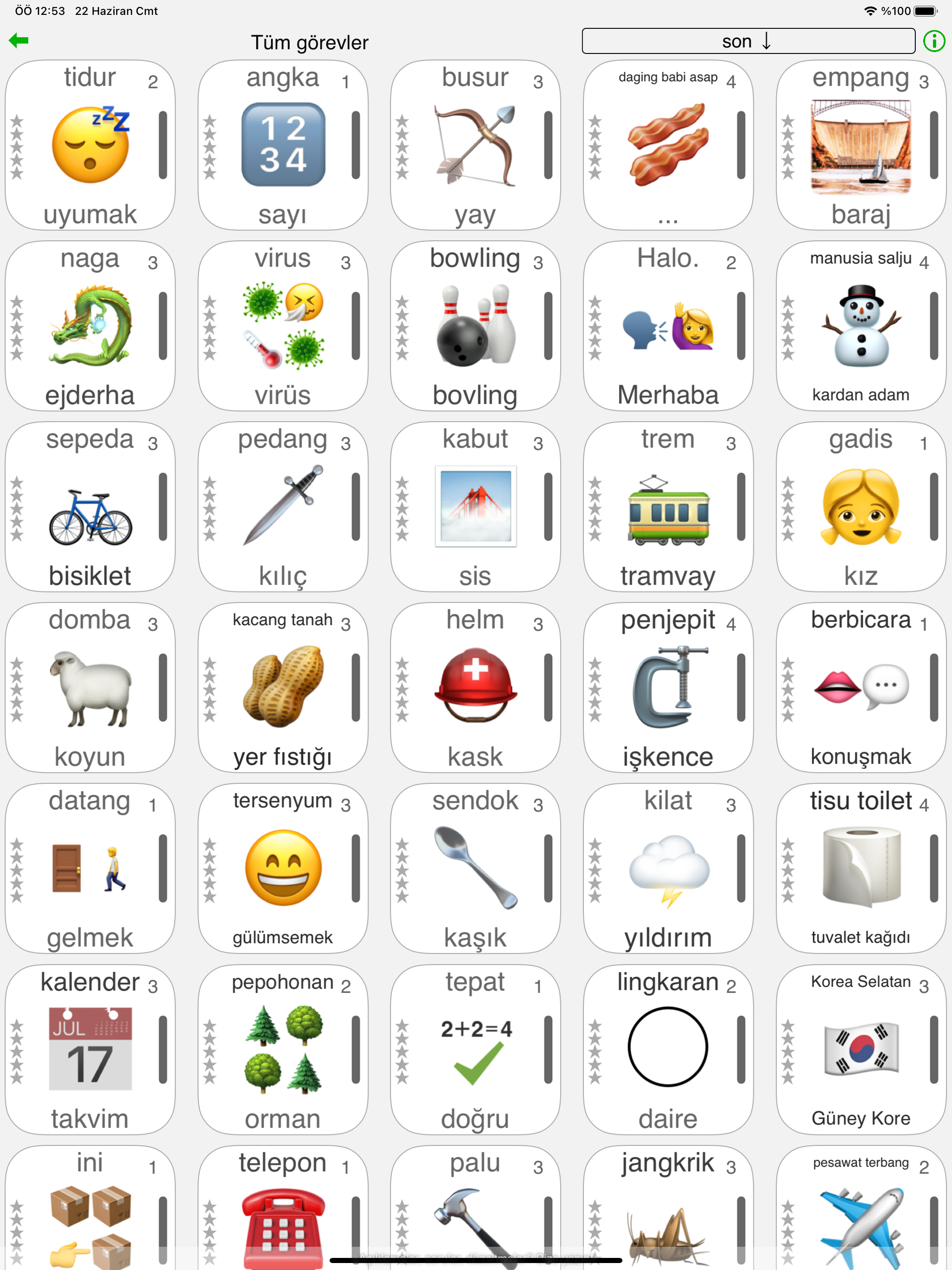 SignAgent