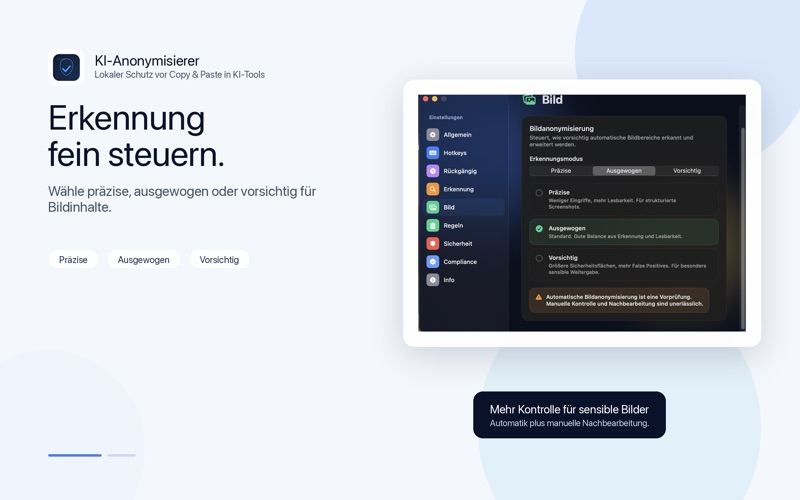 KI-Anonymisierer screenshot
