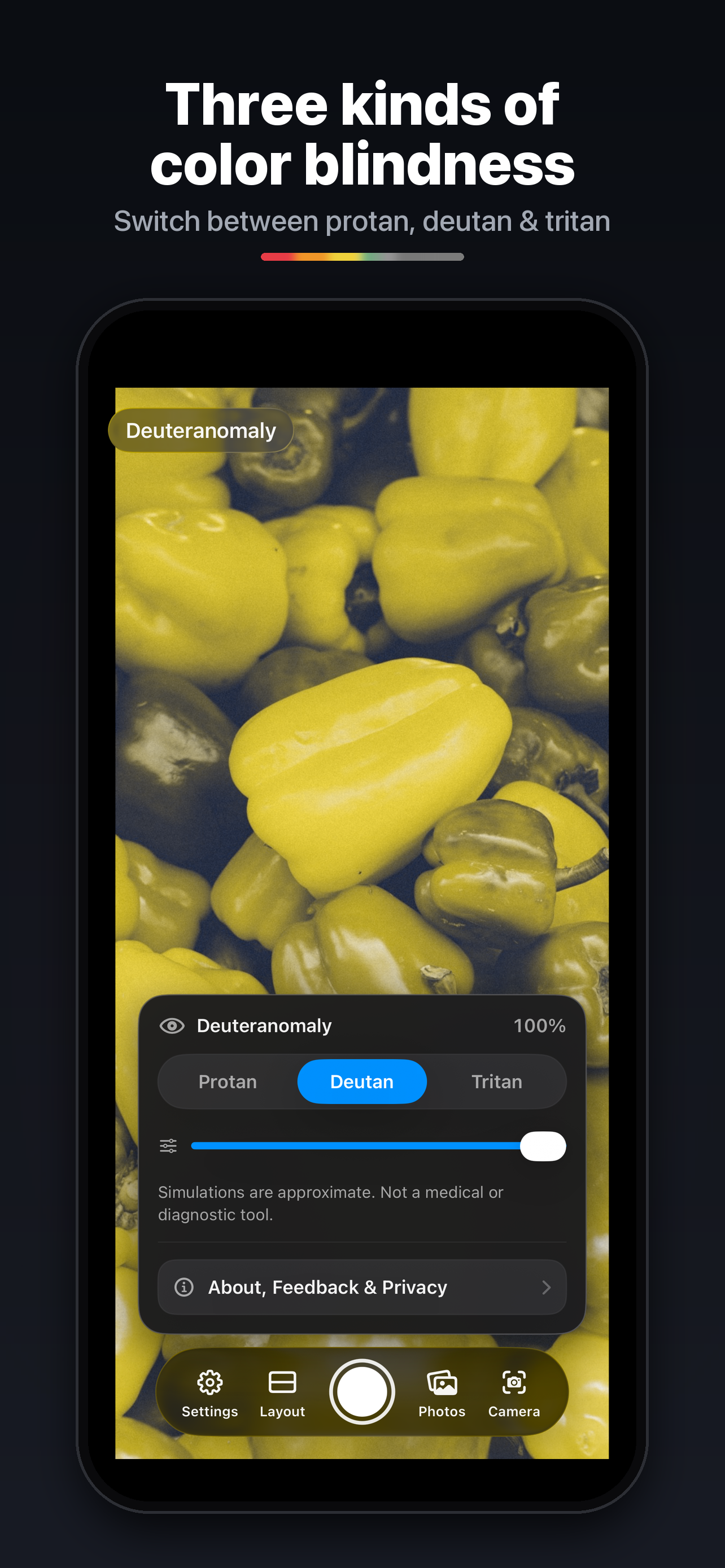 Color Blindness Camera screenshot 2
