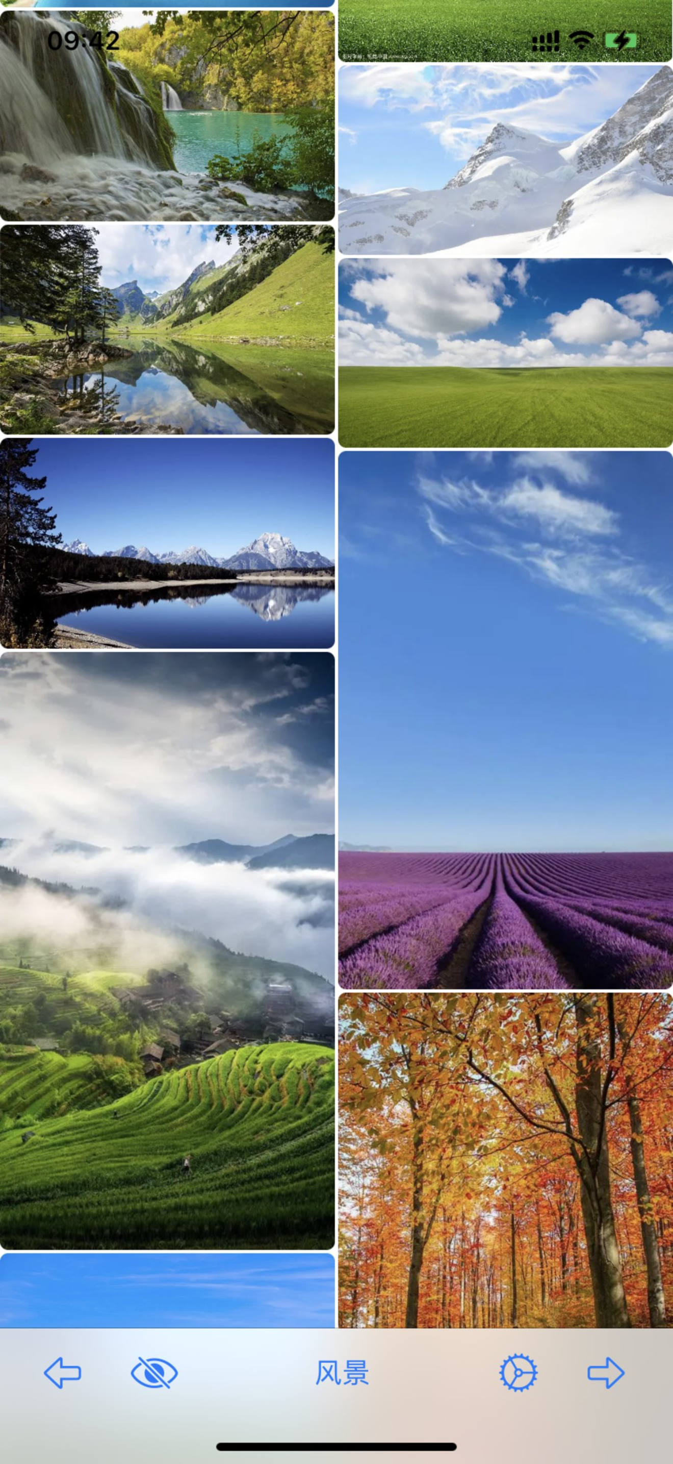 File Viewer for All
