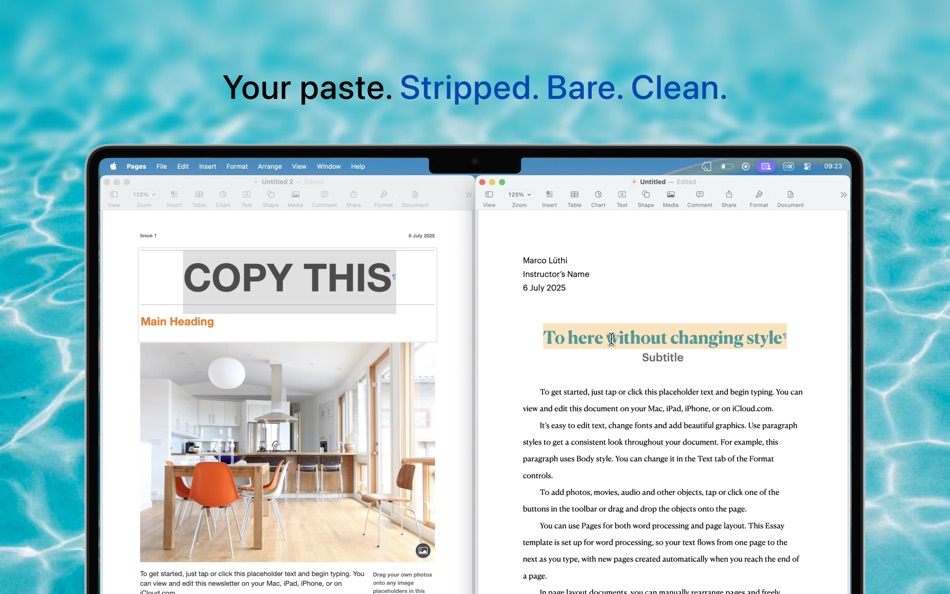 #1. Naked Paste (macOS) 由: Marco Luthi