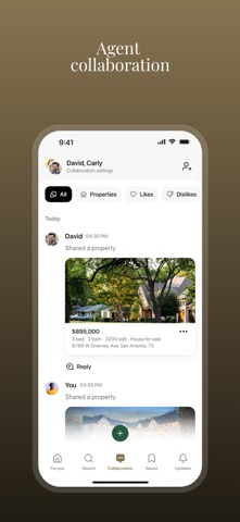 Real Estate TIES screenshot