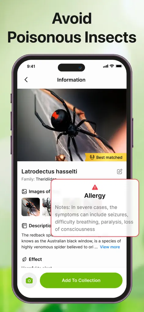 Bug Sound Identifier Insect ID - Utilities App | MWM
