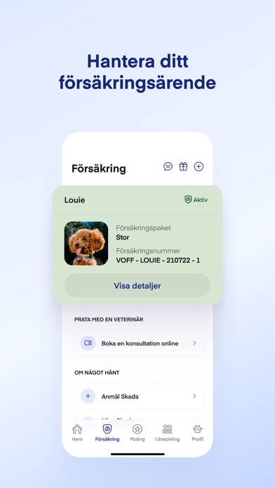 Lassie Screenshot
