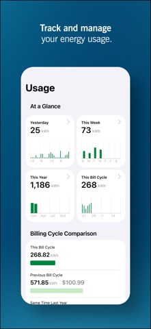 nymea:energy Screenshot 4