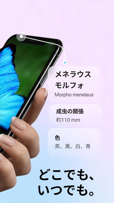 Picture Insect: 写真から昆虫やクモを識別するのスクリーンショット - 2
