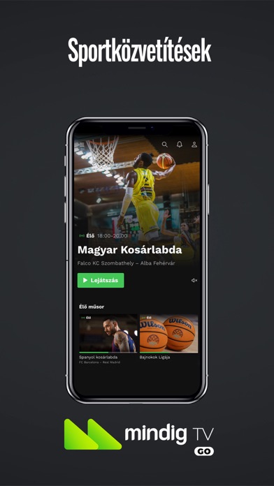 Földfelszíni TV Screenshot