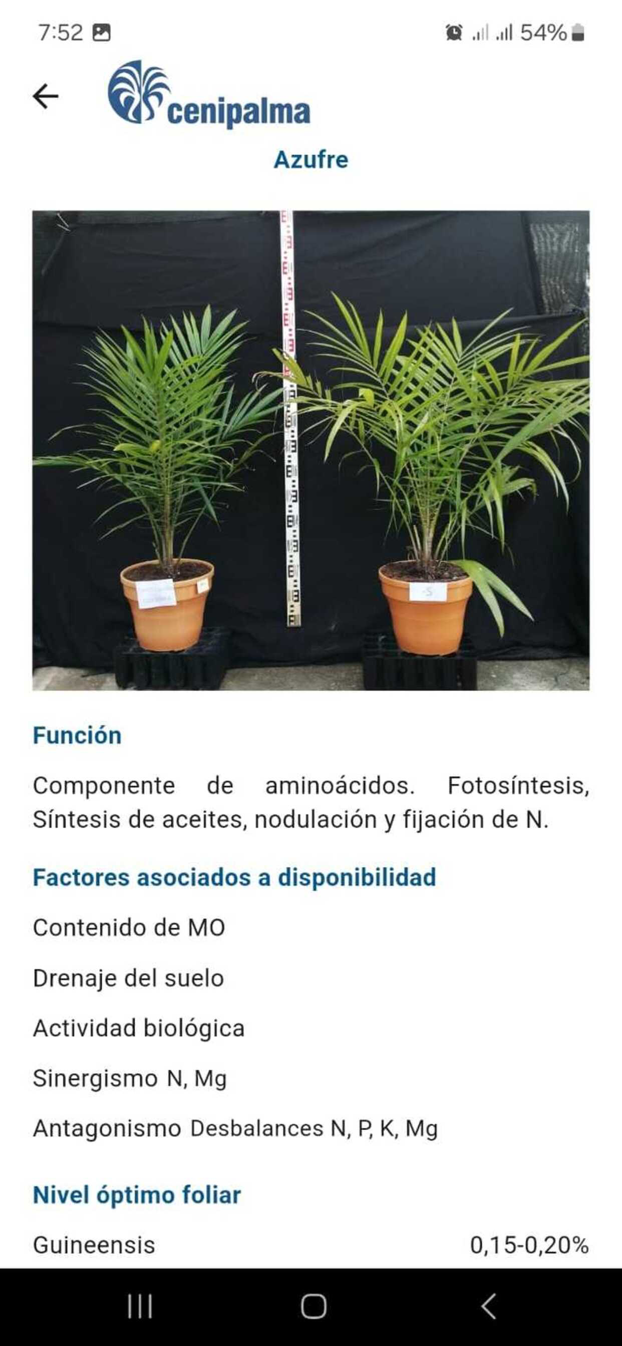 APP NUTRICION