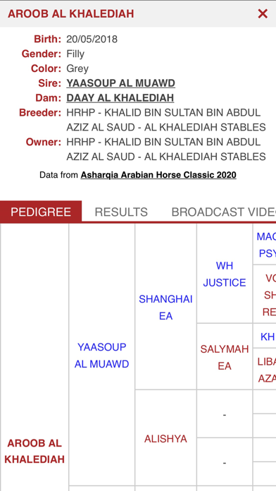 Arabian Essence TV Screenshot