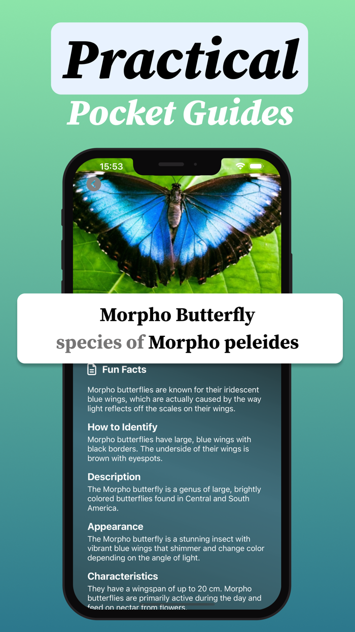 Bug identifier・Insect Scanner