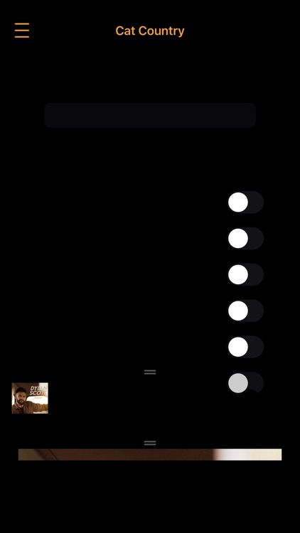 Cat Country 95.1 screenshot-3