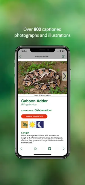 eSnakes Southern Africa screenshot 3