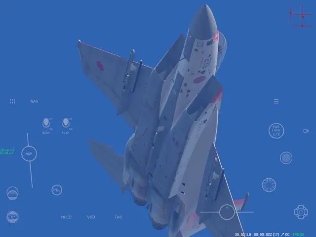 Red Flag Sim screenshot 12