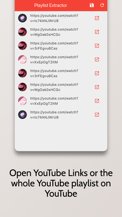 Playlist Extractor Screenshot