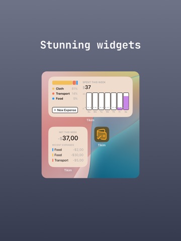 Tikim: Expense Tracker iPad screenshot
