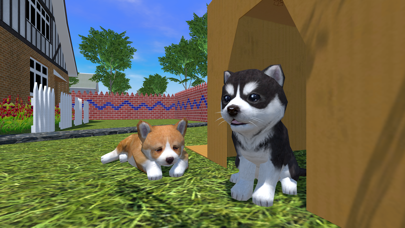 Screenshot #1 pour Cute Pocket Puppy 3D - Part 2